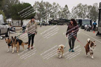 media/Nov-29-2025-TrackDaz (Sat) [[10ae2d9bce]]/Around the Pits/